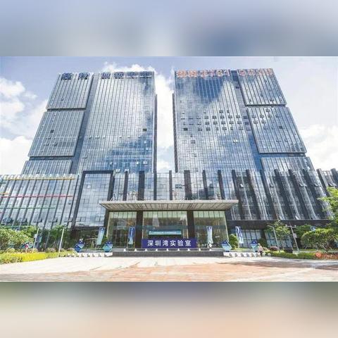 质疑:2025港澳资料免费大全,防范不实推销骗局,全链释义、解释与落实